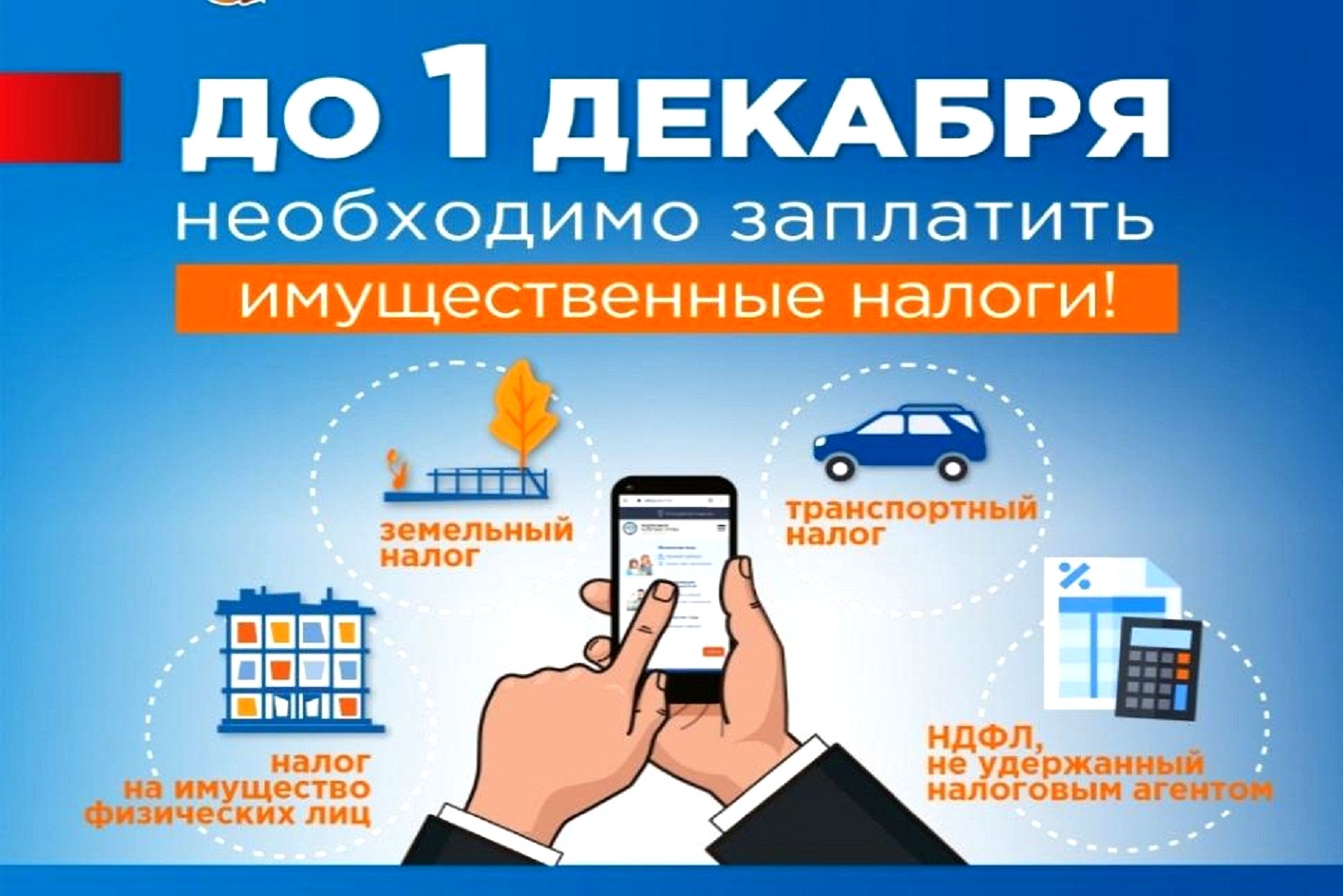 1 декабря Срок уплаты имущественных налогов.