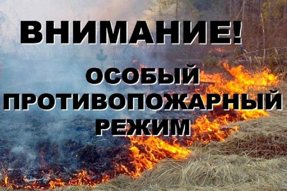 Особый противопожарный период c 15 апреля 2025 года.