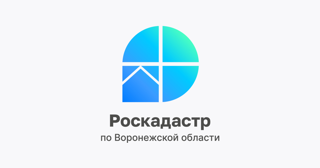 Региональный Роскадастр подвел итоги первого года работы .