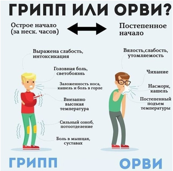 ГРИПП ОРВИ. ГРИПП ОРВИ.