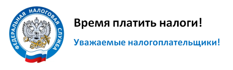 В новый год без долгов!. В новый год без долгов!.