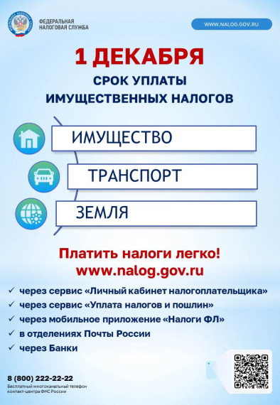 1 декабря срок уплаты имущественных налогов. 1 декабря срок уплаты имущественных налогов.